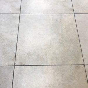 Meet your Posher, Paulo